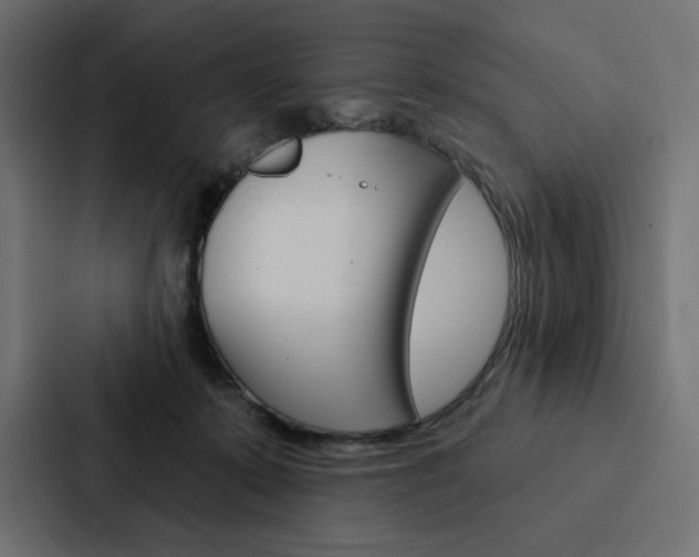 X0000088180319200705150944