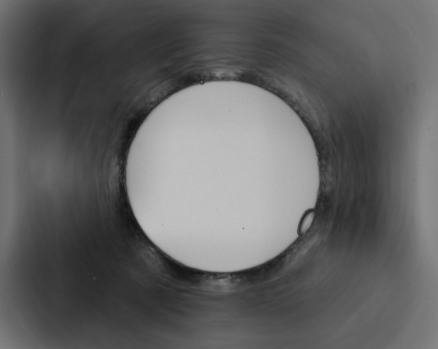 X0000088180321200705150944