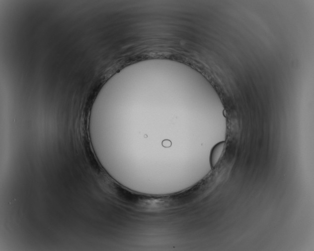 X0000088180323200705150944