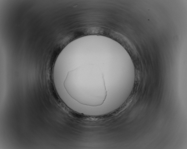 X0000088180326200705150944