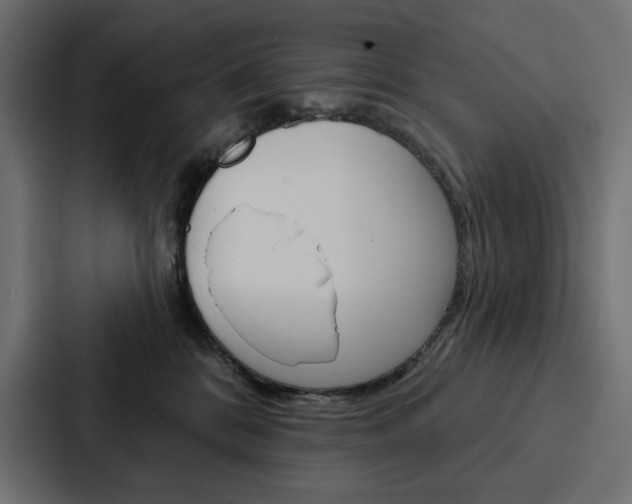 X0000088180328200705150944