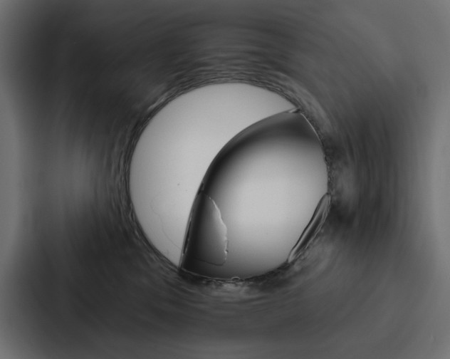 X0000088180329200705150944