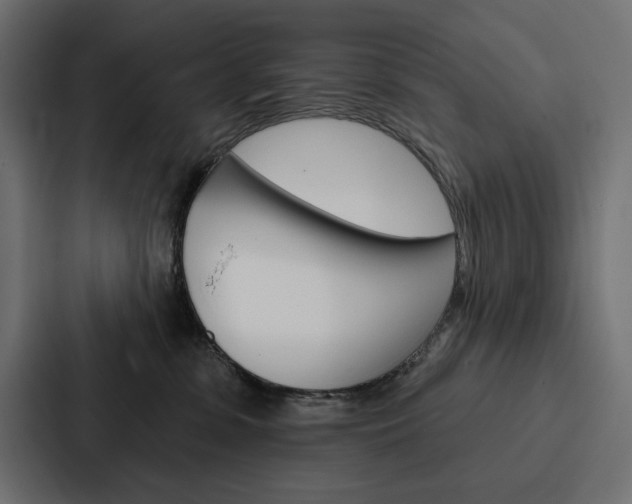 X0000088180331200705150944