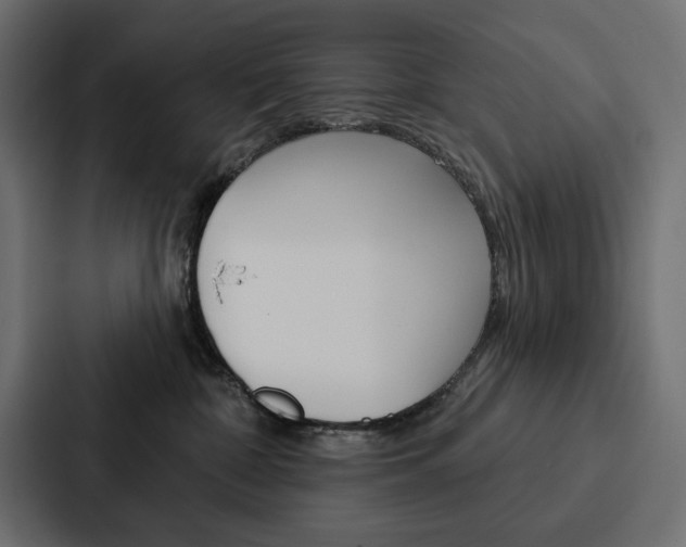 X0000088180332200705150944