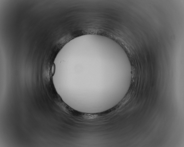 X0000088180334200705150944