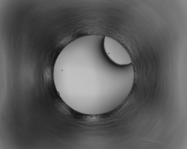 X0000088180335200705150944