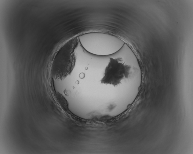 X0000088180337200705150944