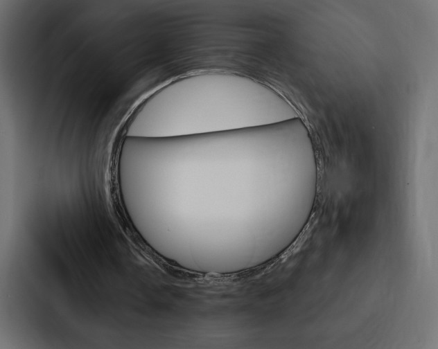 X0000088180338200705150944