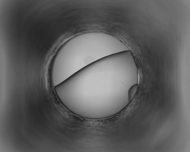 X0000088180339200705150944