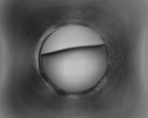 X0000088180341200705150944