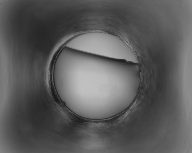 X0000088180342200705150944