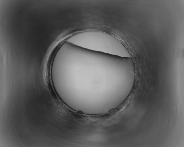 X0000088180343200705150944