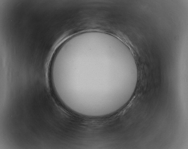 X0000088180344200705150944