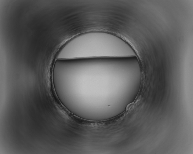 X0000088180345200705150944