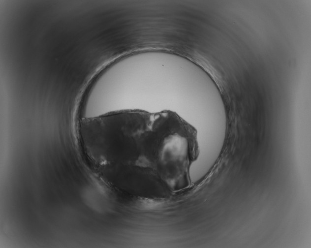 X0000088180346200705150944