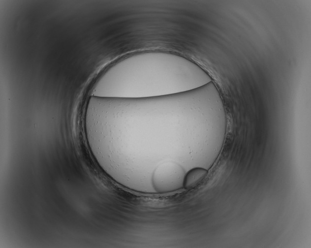 X0000088180347200705150944
