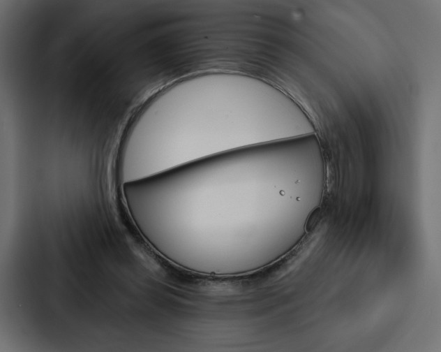 X0000088180349200705150944