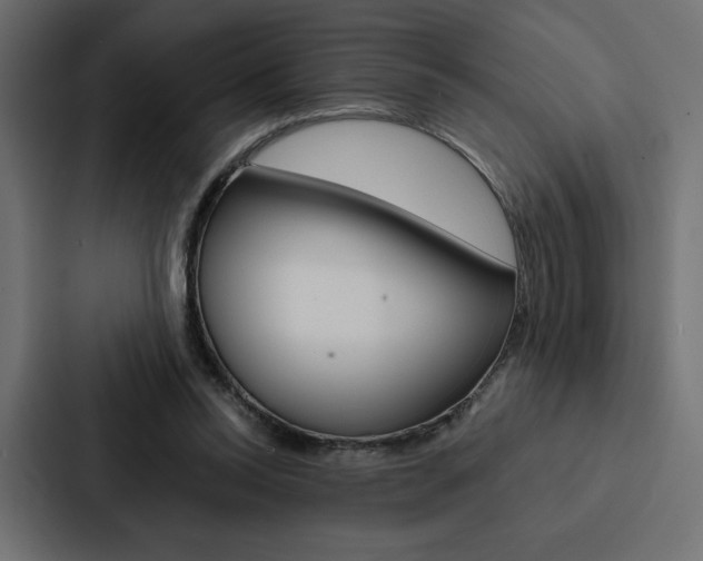 X0000088180350200705150944