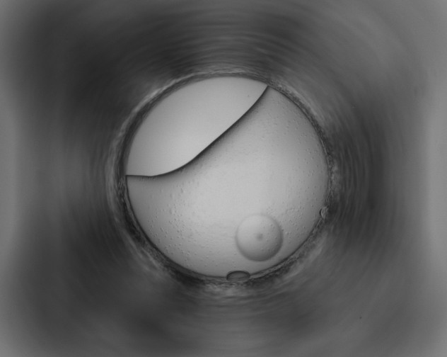 X0000088180351200705150944