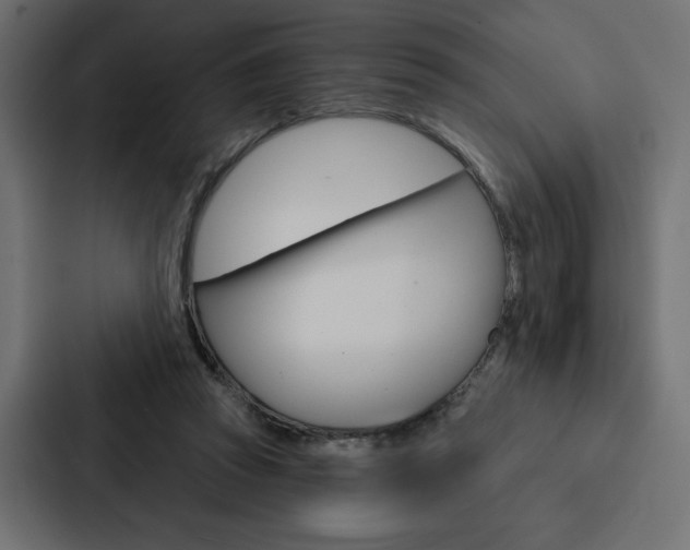 X0000088180353200705150944