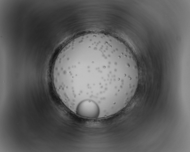 X0000088180354200705150944