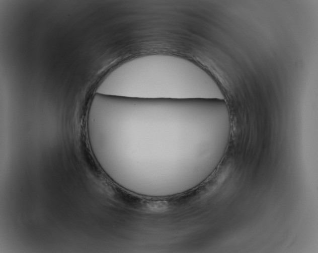 X0000088180355200705150944