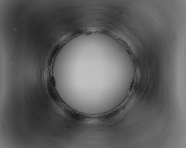 X0000088180356200705150944