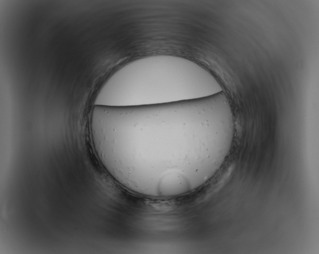 X0000088180359200705150944