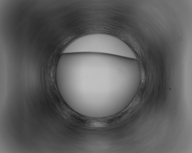 X0000088180360200705150944