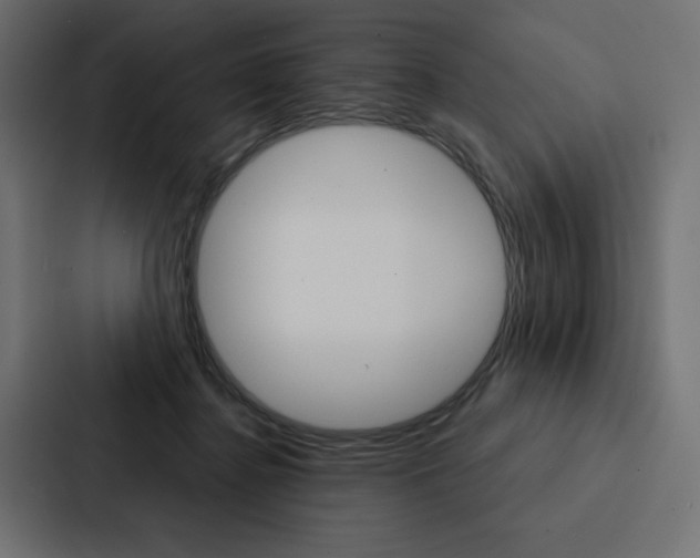 X0000088180364200705150944