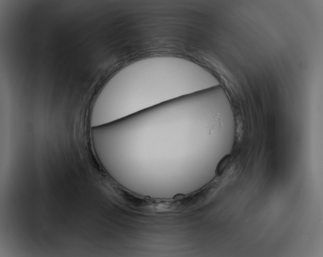 X0000088180365200705150944