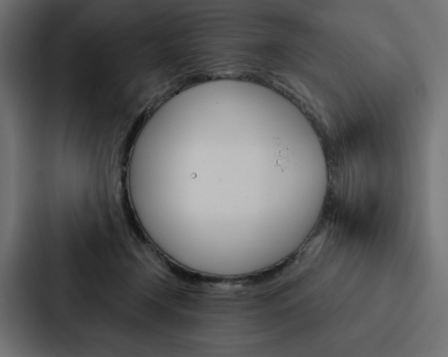 X0000088180366200705150944