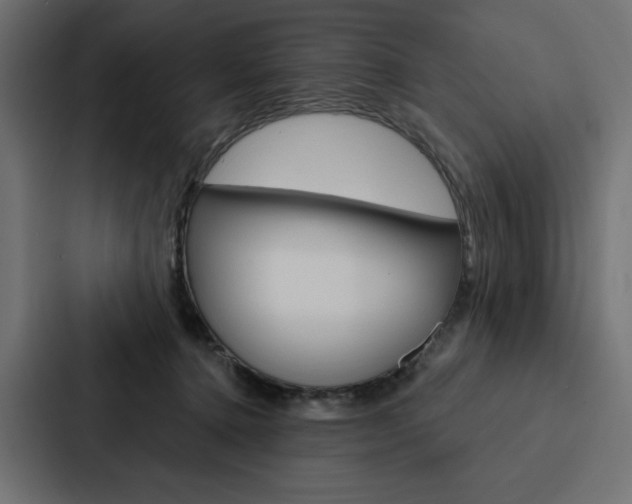 X0000088180368200705150944