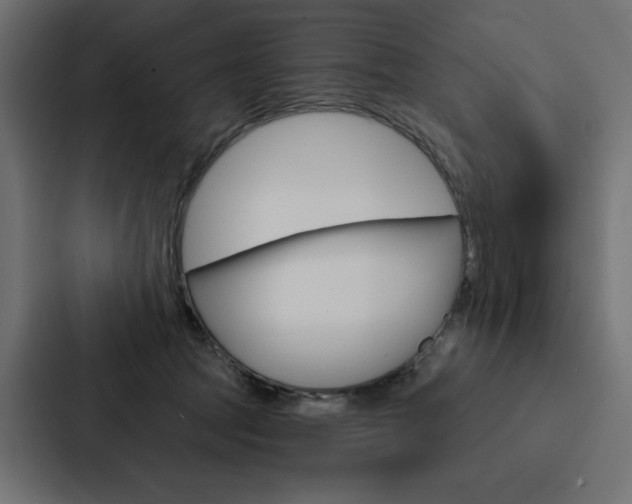 X0000088180369200705150944