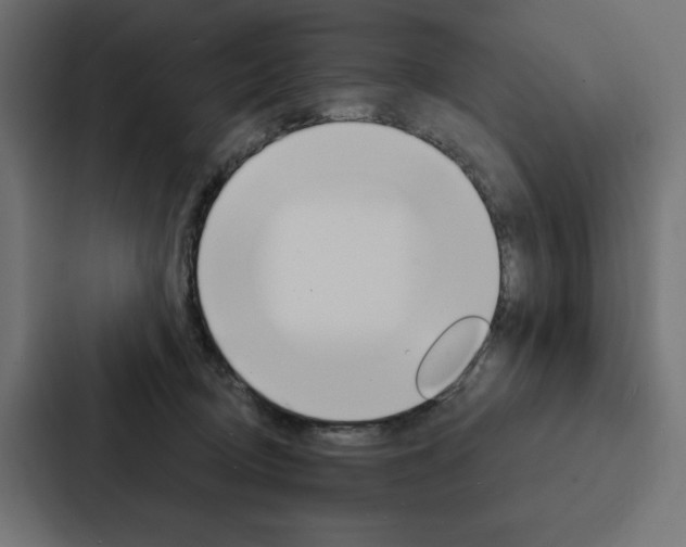 X0000088180370200705150944