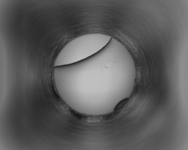X0000088180373200705150944