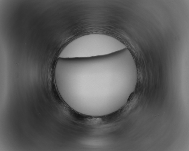 X0000088180374200705150944