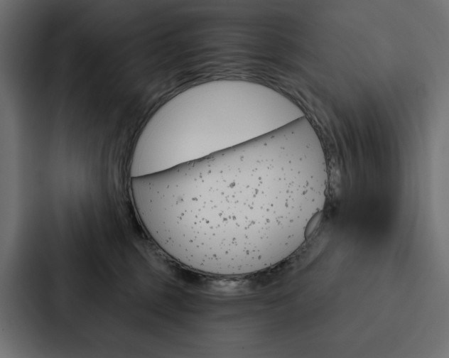 X0000088180375200705150944