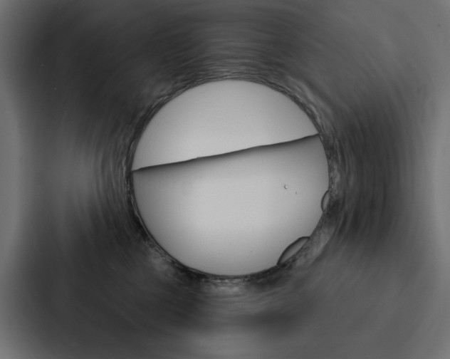 X0000088180377200705150944