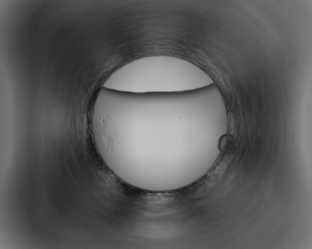 X0000088180378200705150944