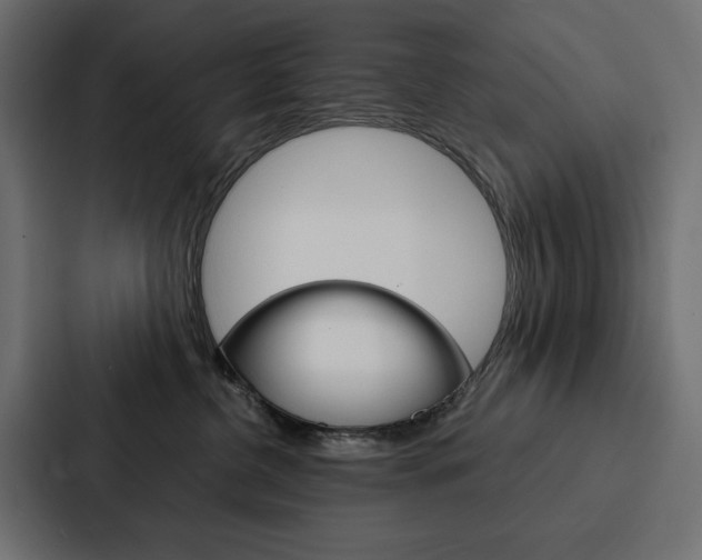 X0000088180380200705150944