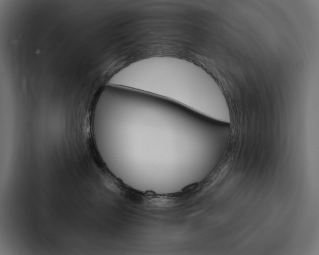 X0000088180383200705150944
