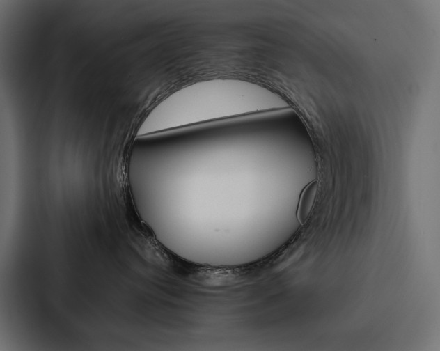 X0000088180384200705150944