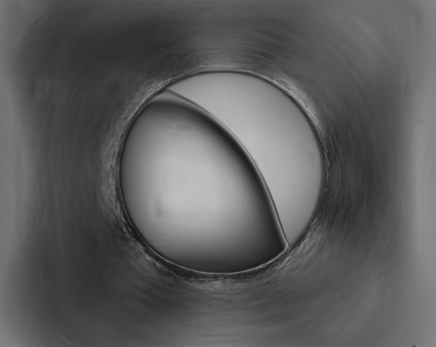 X0000088180385200705150944