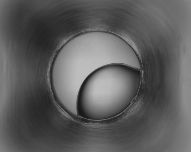X0000088180389200705150943
