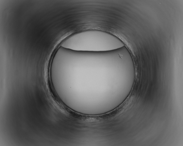 X0000088180390200705150943