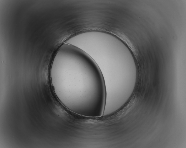 X0000088180393200705150943