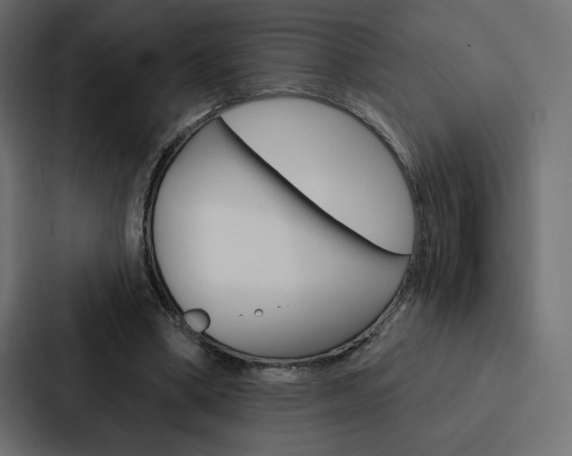 X0000088180394200705150943
