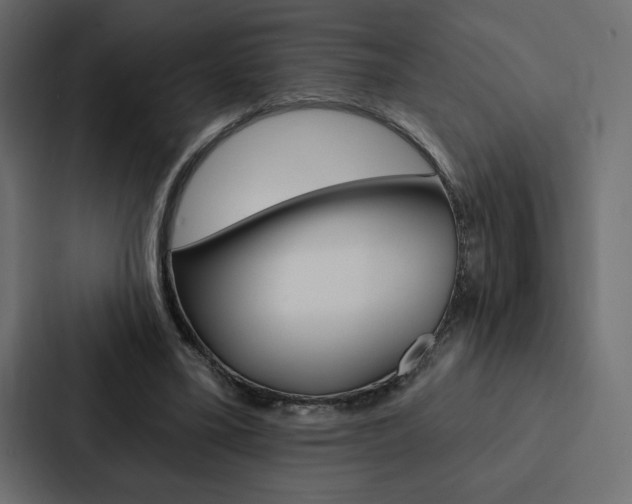 X0000088180395200705150943