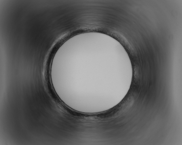 X0000088180396200705150943